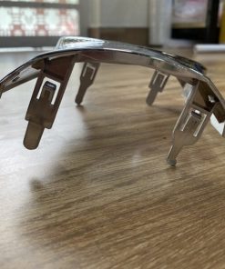 Alternative view of MÍ ĐÈN GẦM VẾ PHẢI (RH)