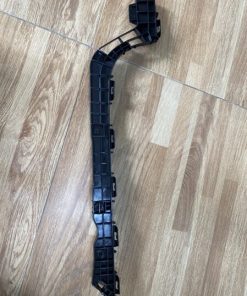 Alternative view of PHE CÀI (XƯƠNG)CẢN SAU VẾ PHẢI (RH)