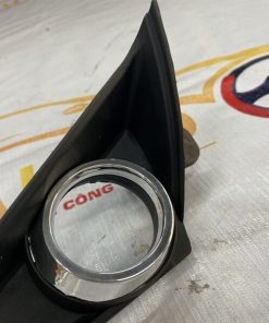 Alternative view of MÍ ĐÈN GẦM VẾ TRÁI (LH)