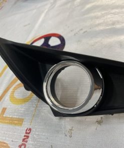 Alternative view of MÍ ĐÈN GẦM VẾ PHẢI (RH)