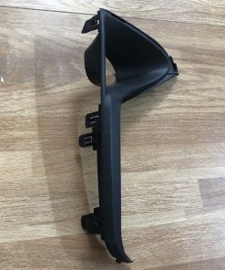 Alternative view of MÍ ĐÈN GIẦM VẾ PHẢI ( RH )