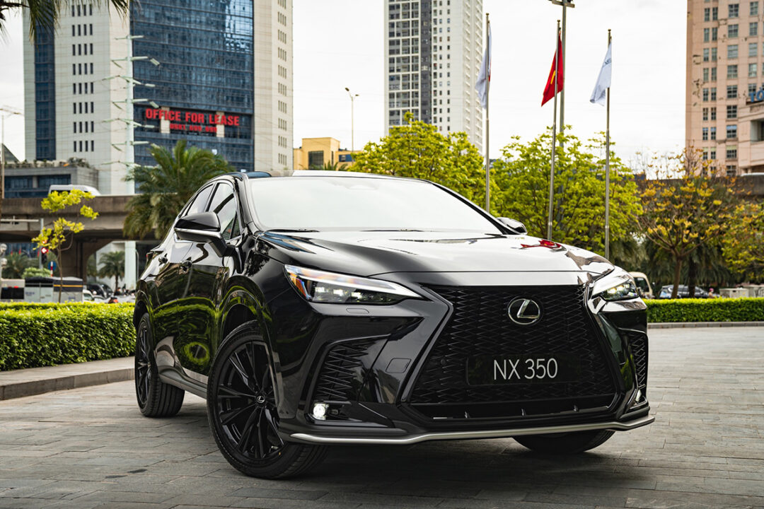 1f8382beaba965f73cb8