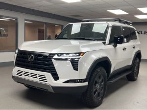 663f9048355c1 image 1 17168663908791695907292