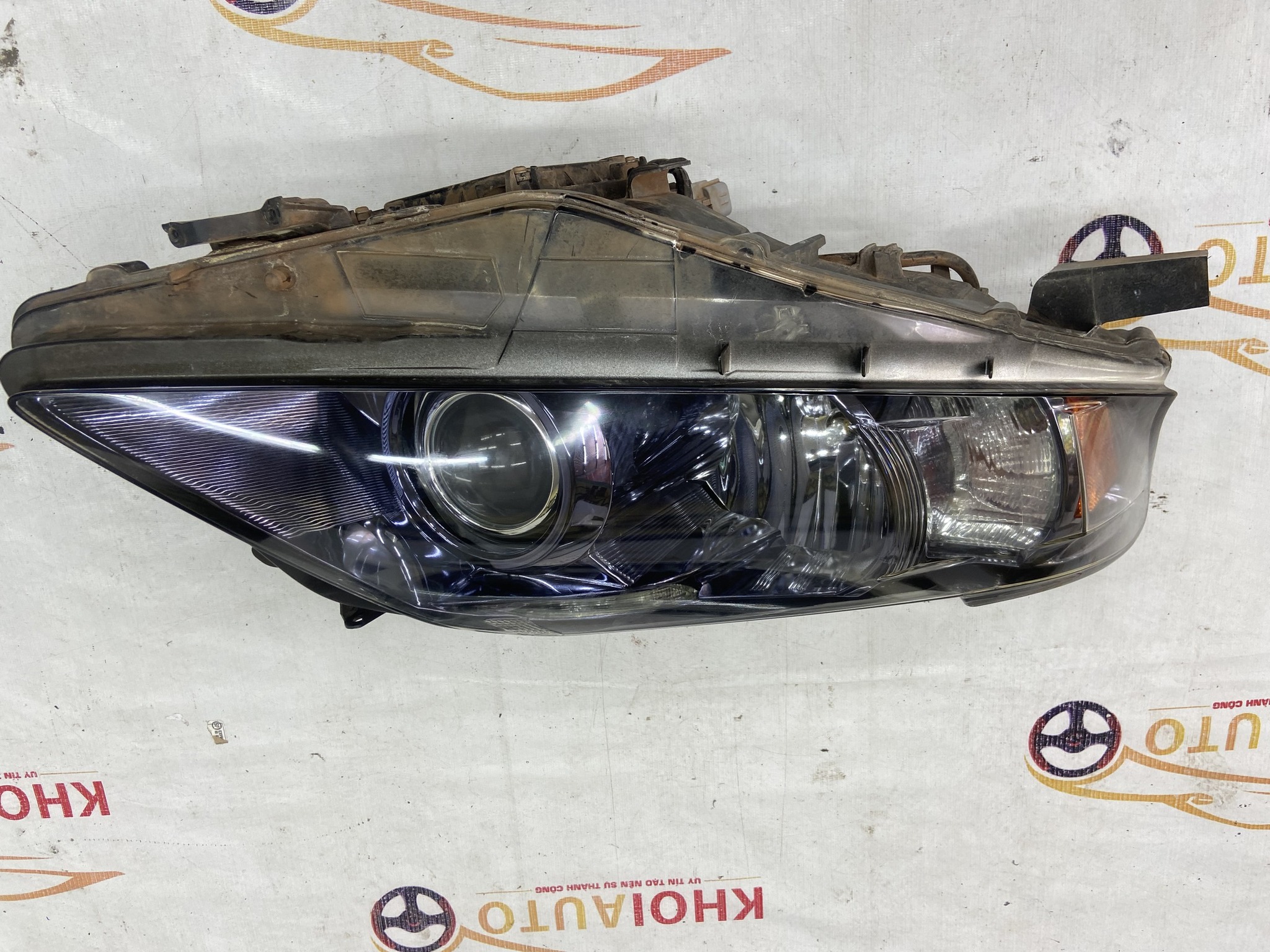 81145-48A11 Đèn Pha Lexus RX450h 2009-2012 Vế Phải(RH) Bãi Tháo Xe (old)8114548A11