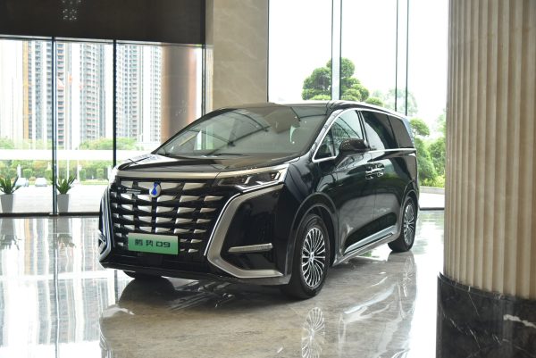 byd denza d9 28 1713934765999390572613