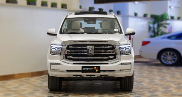 bydm6in048 1716814472541559616989 1