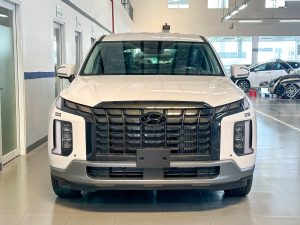 44768917318508857920828168105307393838361019n 17180039126081302320146