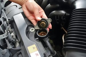 nap ket nuoc oto 2645