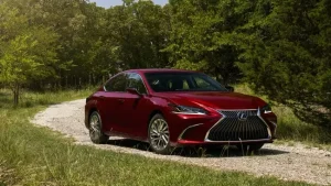 thuong hieu o to 2 204.jpg