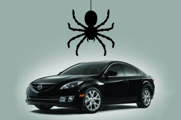 wanderingspidersleadmazdato 1717513113272296489993