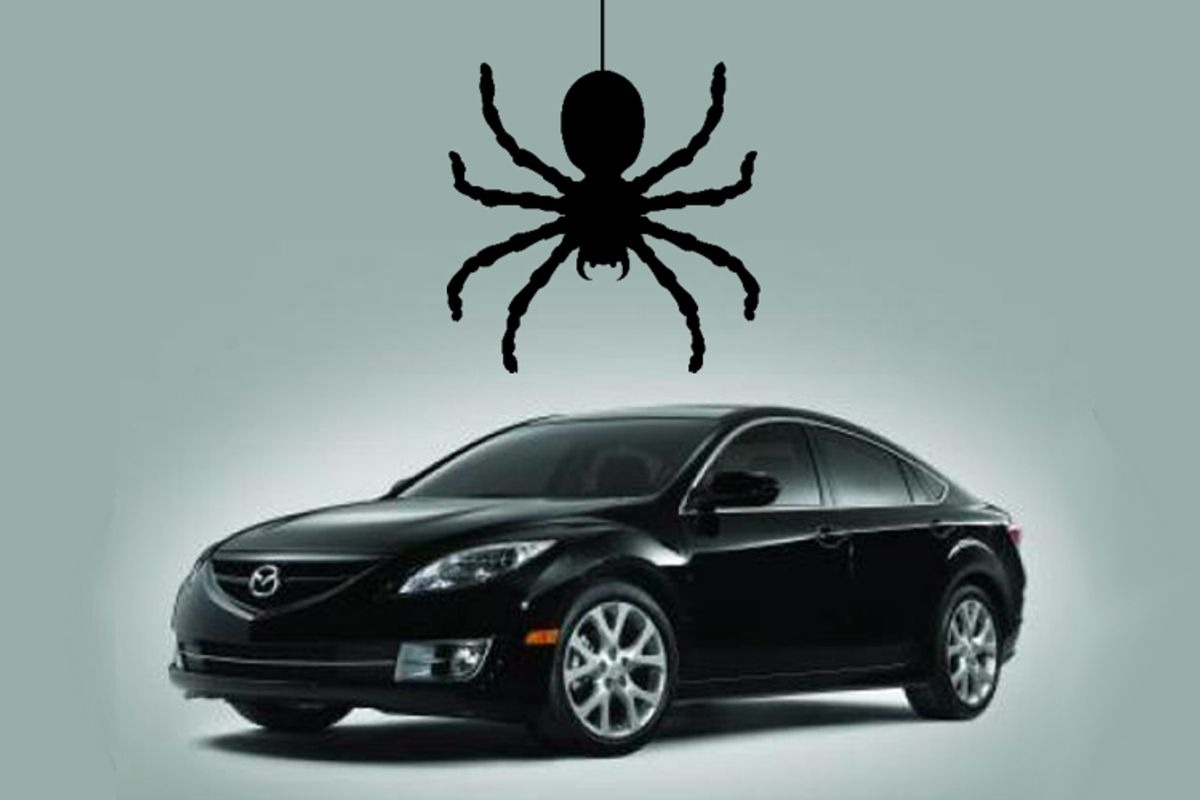 wanderingspidersleadmazdato 1717513113272296489993