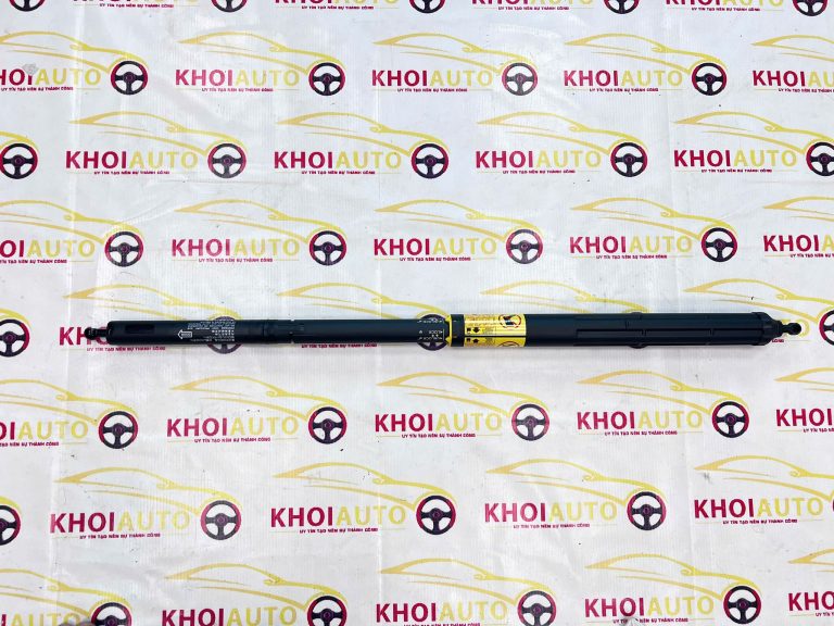 68650-09010 Ty Cốp Sau LEXUS GX460 2010-2020  6865009010 Xịn Chính Hãng